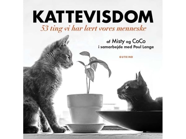 Kattvisdom | Misty & CoCo (med Poul Lange) | Språk: Dansk