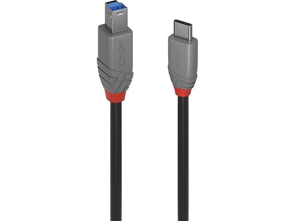 Lindy 36667, 2 m, USB C, USB B, USB 3.2 Gen 1 (3.1 Gen 1), 500 Mbit/s, Lajittelu