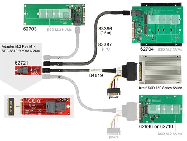 Delock - Grensesnittsadapter - SAS 12Gb/s - M.2 Card