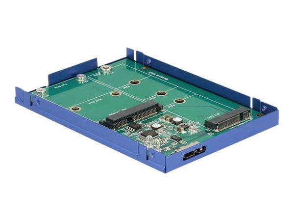 DeLOCK - Lagringspakke - M.2-kort / mSATA - USB 3.1 (Gen 2)