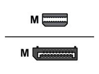Lenovo - DisplayPort-adapter - Mini DisplayPort (hann) til DisplayPort (hunn) - 17.6 cm - for ThinkCentre M70; M75t Gen 2; M80; M90; ThinkStation P...