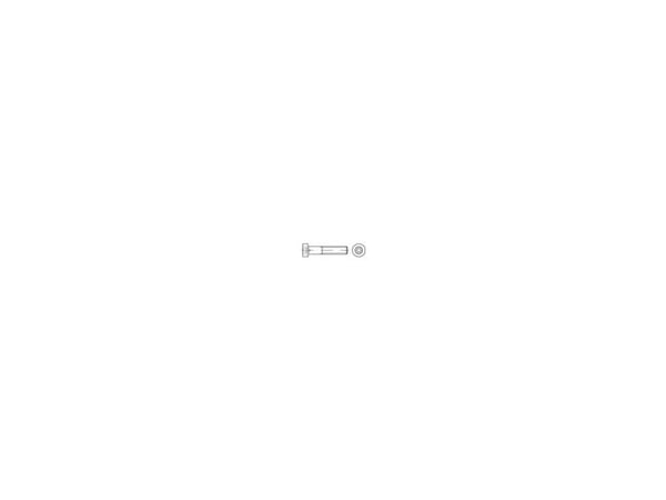 TOOLCRAFT sylinderskruer M14 70 mm, innvendig sekskant DIN 6912, stål galvanisert, 50 stk