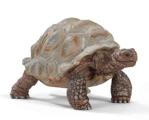 Schleich figur gigantisk skilpadde wild life