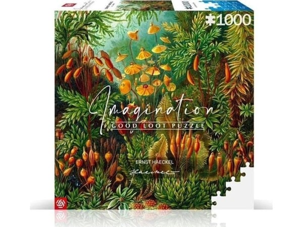 Cenega Imagination, 1000 styck, Konst