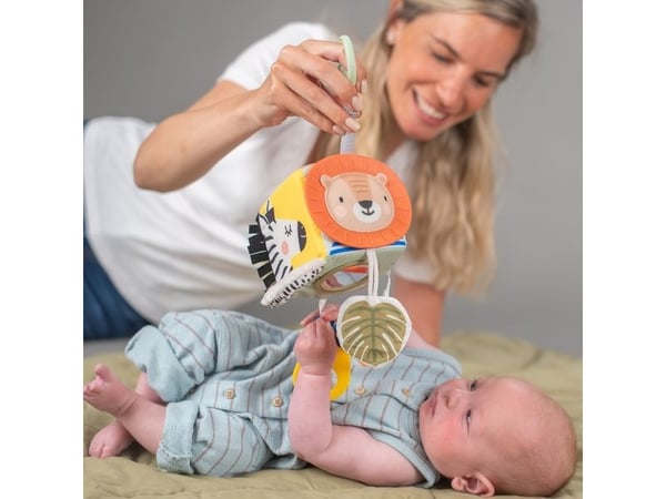 Savannahin löytökuutio
