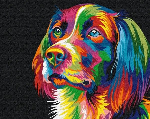 Symag maleri etter tall - Hund i farger
