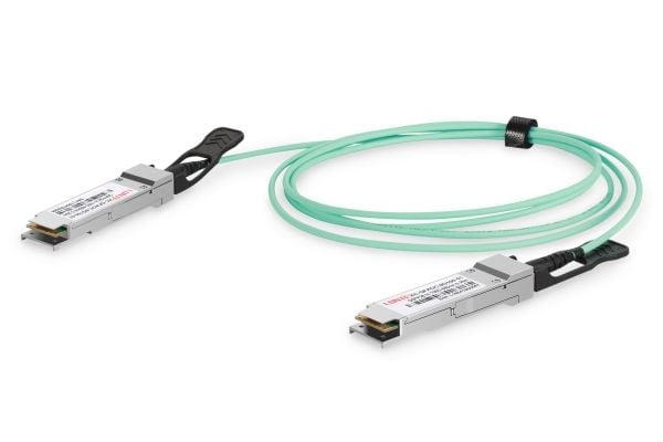 DIGITUS - Direkte 100GBase-koblingskabel - QSFP28 til QSFP28 - 10 m - fiberoptisk - dupleks - SFF-8431/SFF-8432 - Active Optical Cable (AOC)