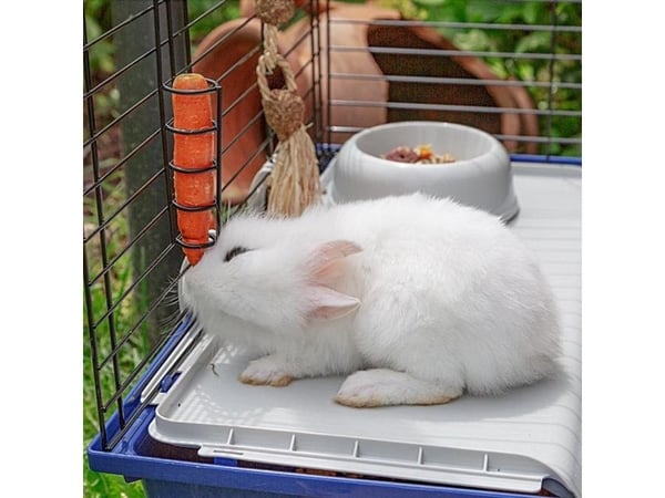Ferplast kaninbur Rabbit 120 118x58,5x49,5 cm 57053070