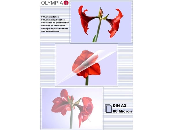 Olympia 1x50 DIN A3 80 micron, Läpinäkyvä, A3, 50 kpl