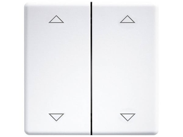 Eltako DW-FT55-wg+2P Dubbel vippbrytare