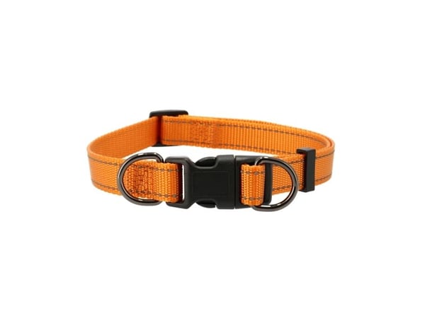 Dogman Nylonhalsband Iris Ställbart Orange L