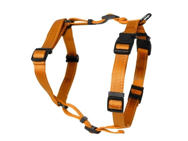 DOGMAN H-sele Iris orange 10mm