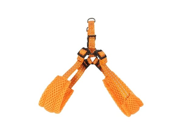 Dogman Step-in Hundsele Iris Orange