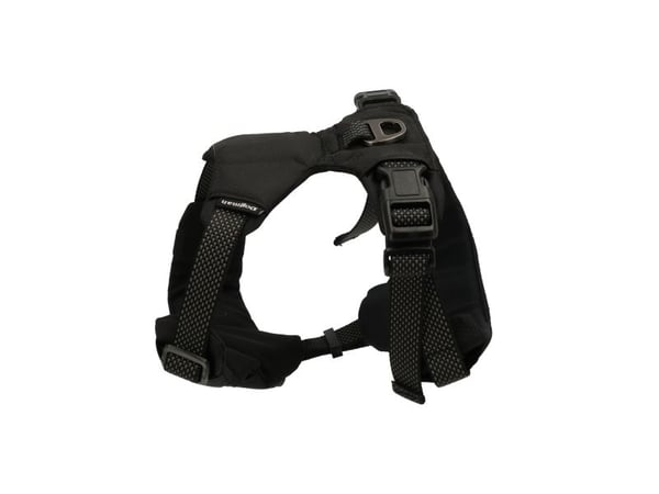 Dogman Sportsele Emmi Svart Xl