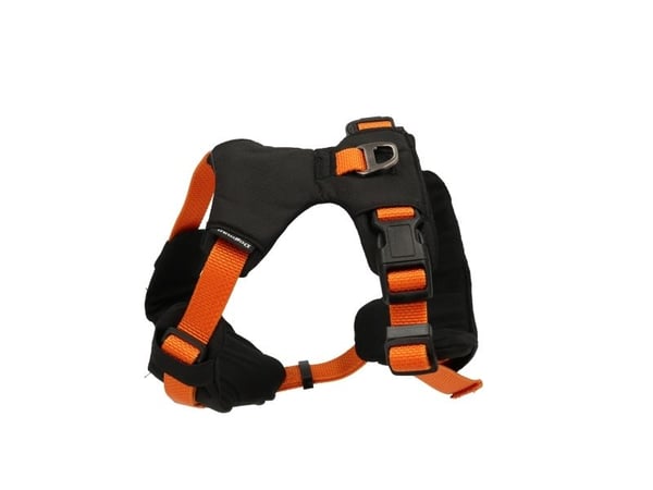 DOGMAN Sportsele Emmi orange XL