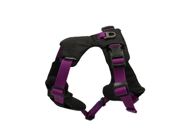 DOGMAN Sportsele Emmi lila XL