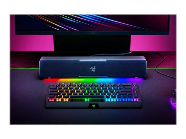 Razer Leviathan V2 X-högtalare