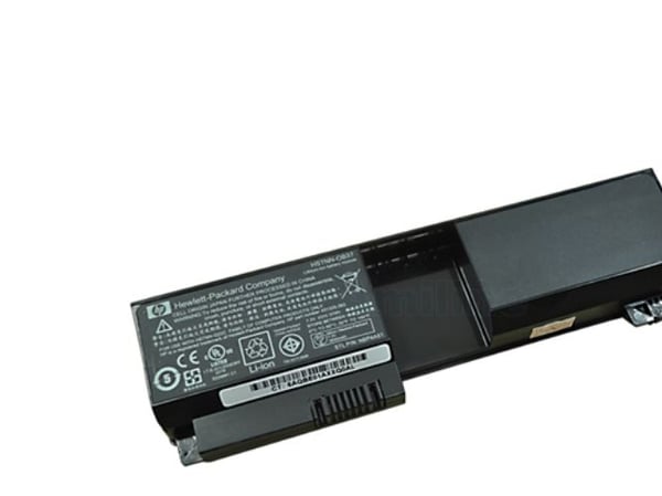 HP SP06055, Bakterier