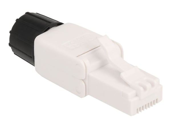 Delock - Nettverkkontakt - RJ-45 (hann) - UTP - CAT 6a