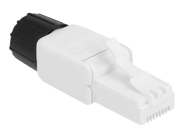 Delock - Nettverkkontakt - RJ-45 (hann) - UTP - CAT 6