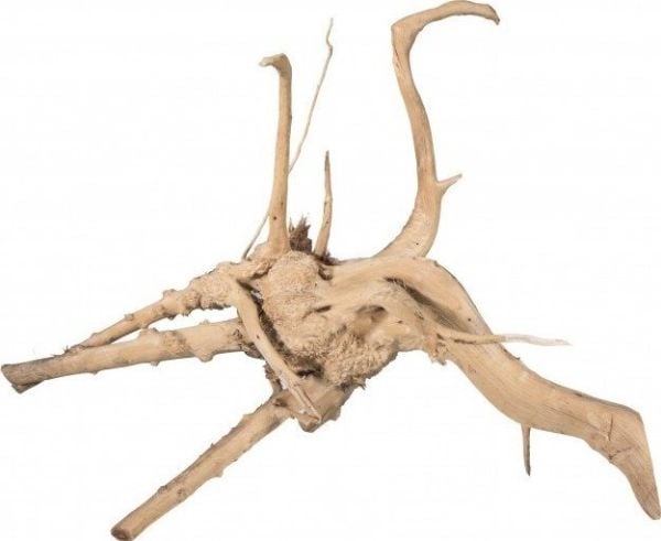S RØD MYR sumprot 15-20cm