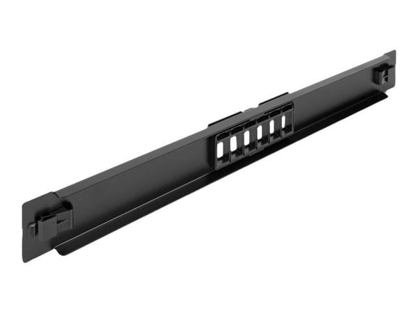 Delock - Pluggbord (blankt) - rackmonterbar - svart - 1U - 19" - 6 porter