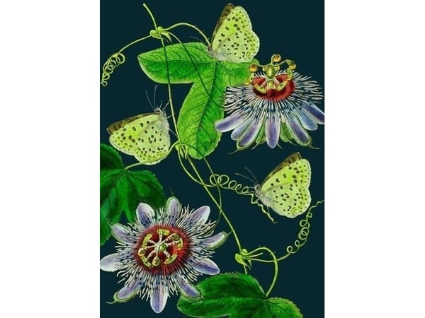 Madame Treacle Karnet B6 z kopertą Passiflora nocą