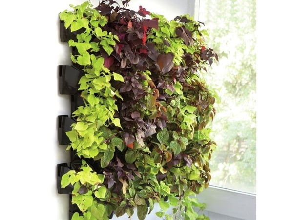 AQUAEL Versa Garden - Green Wall