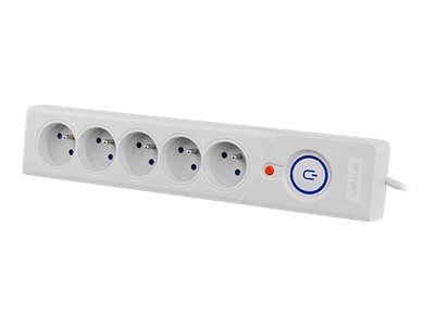 Armac Z5 - Ylijännitesuoja - AC 250 V - 2500 Watt - lähtöliittimet: 5 - 3 m kaapeli - harmaa