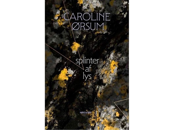 valon sirpaleita | Caroline Ørsum | Kieli: Tanska