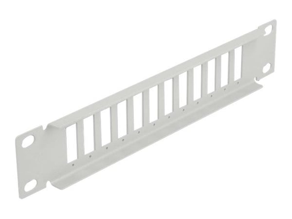 Delock - Pluggbord (blankt) - rackmonterbar - grå - 1U - 10" - 12 porter