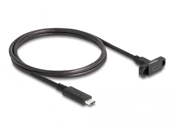 Delock - USB-forlengelseskabel - 24 pin USB-C (hann) til 24 pin USB-C (hunn) panelmonterbar - USB 3.2 Gen 2 - 1 m - svart