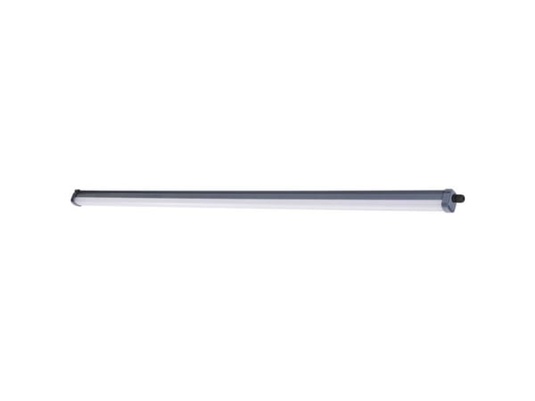 Philips Vesitiivis, Pinta, 1 lamppu(a), 4000 K, IP65, Harmaa