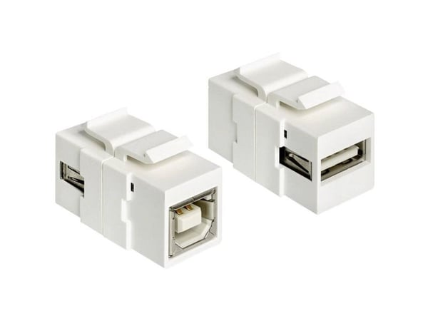 Delock - Modulär insats (koppling) - USB typ B, USB Type A