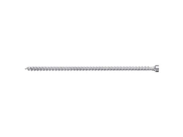 Fischer 562964, Skrue, Forzinket stål, Tre, Sink, Helgjenget, Sylindrisk hode
