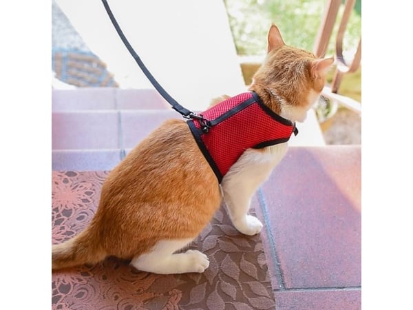 Ferplast Harness Jogging XL (katt, kanin)
