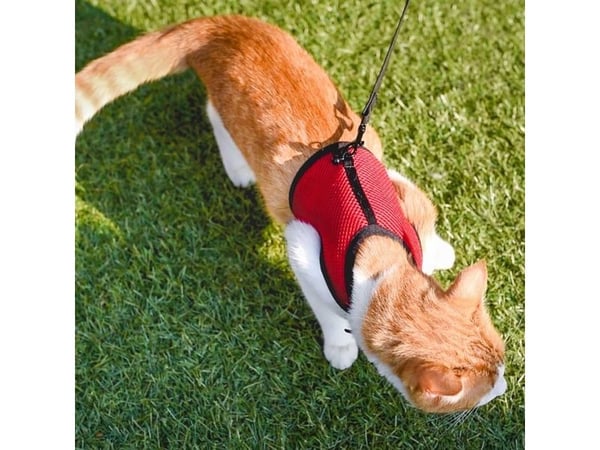 Ferplast Harness Jogging XL (katt, kanin)
