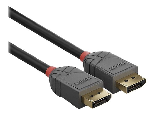 Lindy Anthra Line - DisplayPort-kabel - DisplayPort (hann) til DisplayPort (hann) - DisplayPort 1.1 - 15 m - rund, 1920 x 1200 (WUXGA)-støtte - svart