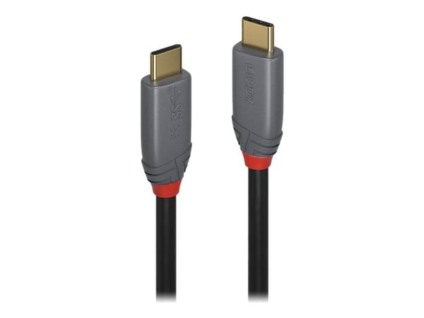 Lindy Anthra Line - USB-kabel - USB-C (hann) til USB-C (hann) - USB 3.2 Gen 2x2 - 1 m - rund - svart