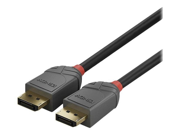 Lindy Anthra Line - DisplayPort-kabel - DisplayPort (hann) til DisplayPort (hann) - DisplayPort 1.2 - 10 m - rund, 4K-støtte - svart