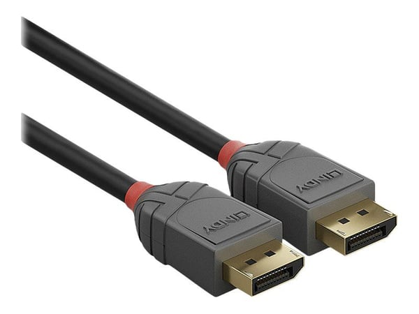 Lindy Anthra Line - DisplayPort-kabel - DisplayPort (hann) til DisplayPort (hann) - DisplayPort 1.2 - 10 m - rund, 4K-støtte - svart