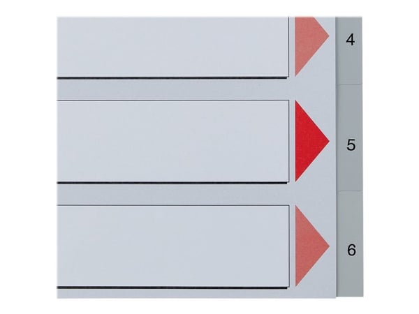 Esselte - Inndeler - fortrykt: 1-6 - for A4 (210 x 297 mm) - med fliker - grå