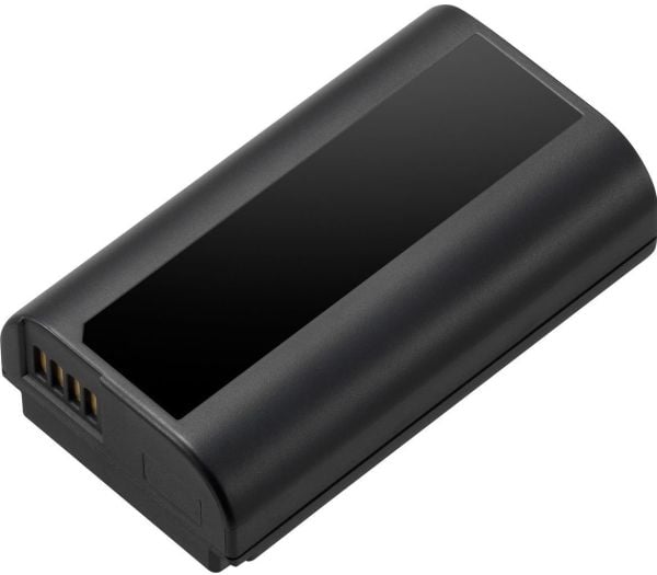 Panasonic DMW-BLJ31 - Batteri - Li-Ion - 3100 mAh - 23 Wh - for Lumix DC-S1M, S1, S1H, S1M, S1R, S1RM