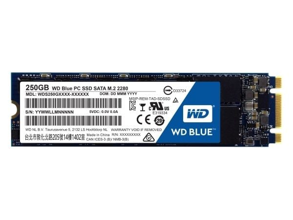 WD Blue PC SSD WDS250G1B0B - SSD - 250 GB - intern - M.2 2280 - SATA 6Gb/s