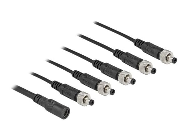 Delock - Strøm-splitter - DC jackstik 5,5 x 2,1 mm (hun) til DC jackstik 5,5 x 2,1 mm (han) kan skrues - 30 V - 2 A - 50 cm - lajittelu