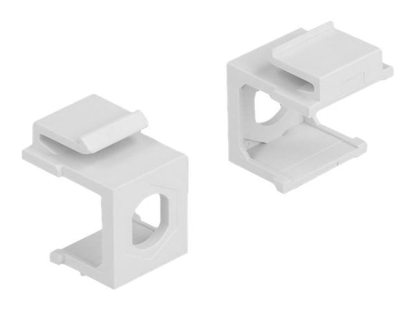 Delock - Modulinnlegg (tomt) - hvit - 1 port (en pakke 4)