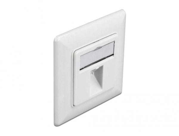 Delock - Keystone socket-outlet - with labeling window - vinklad - 1 modul - kritvit, RAL 9010