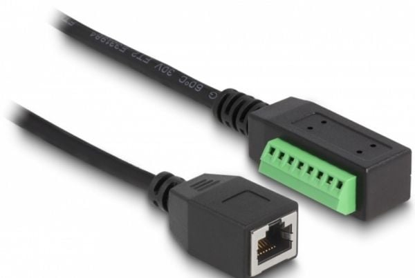Delock - Nettverksadapter - 8-pins terminalblokk (hann) til RJ-45 (hunn) - 21.5 cm - UTP - CAT 5e - svart