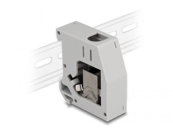 Delock - Monteringsadapter for DIN-skinne - with keystone module - CAT 6a - STP - RJ-45 - grå