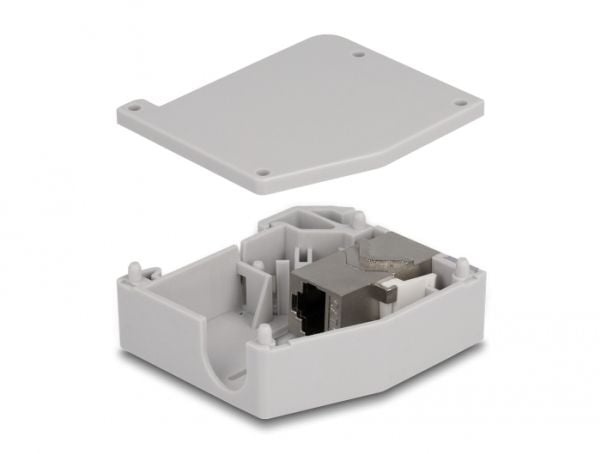 Delock - Monteringsadapter for DIN-skinne - with keystone module - CAT 6a - STP - RJ-45 - grå